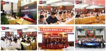 2019年網(wǎng)站建設(shè) 低門(mén)檻高回報(bào)的創(chuàng)富機(jī)遇